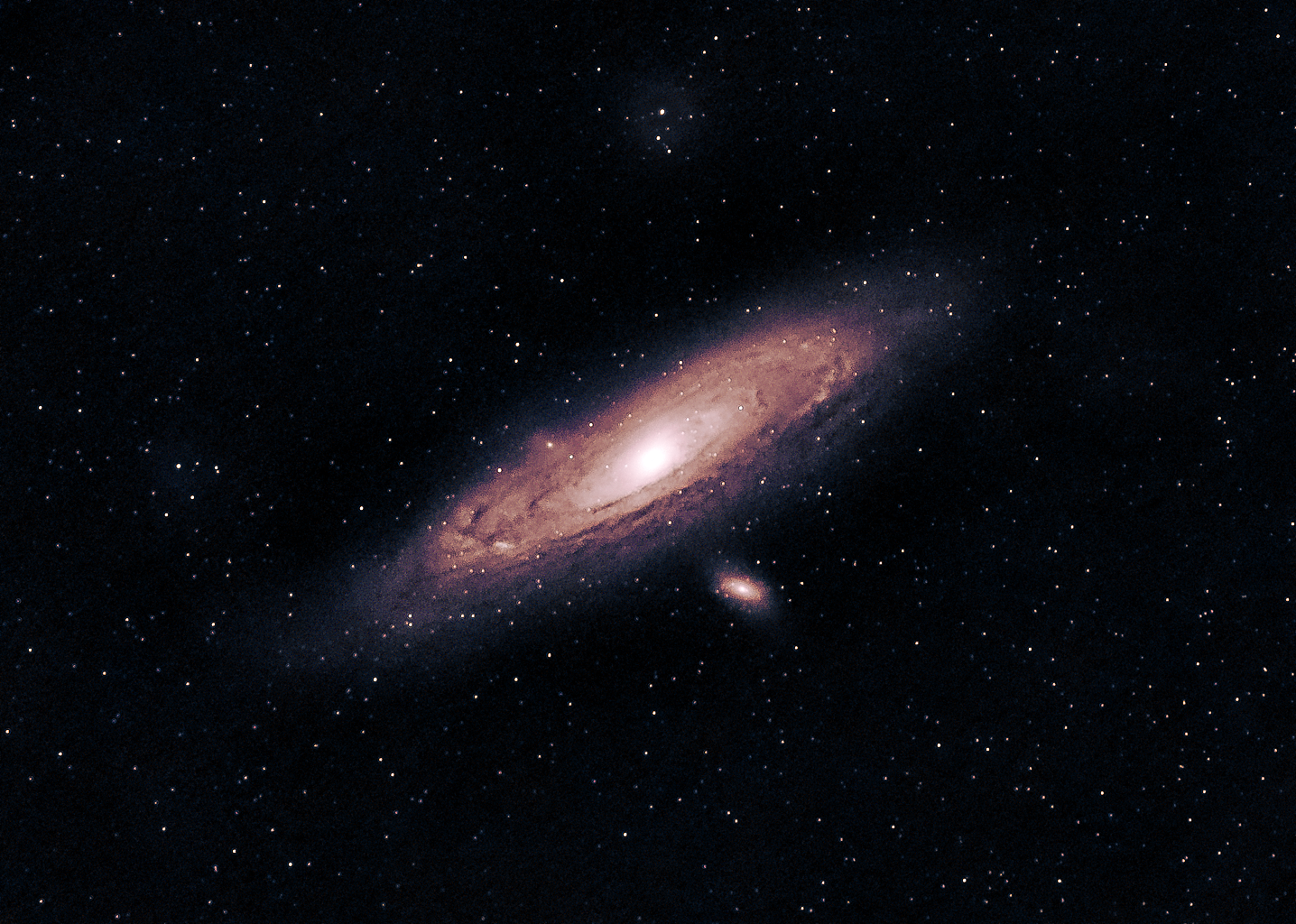 The Andromeda Galaxy. Credits-Astrae